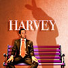Harvey